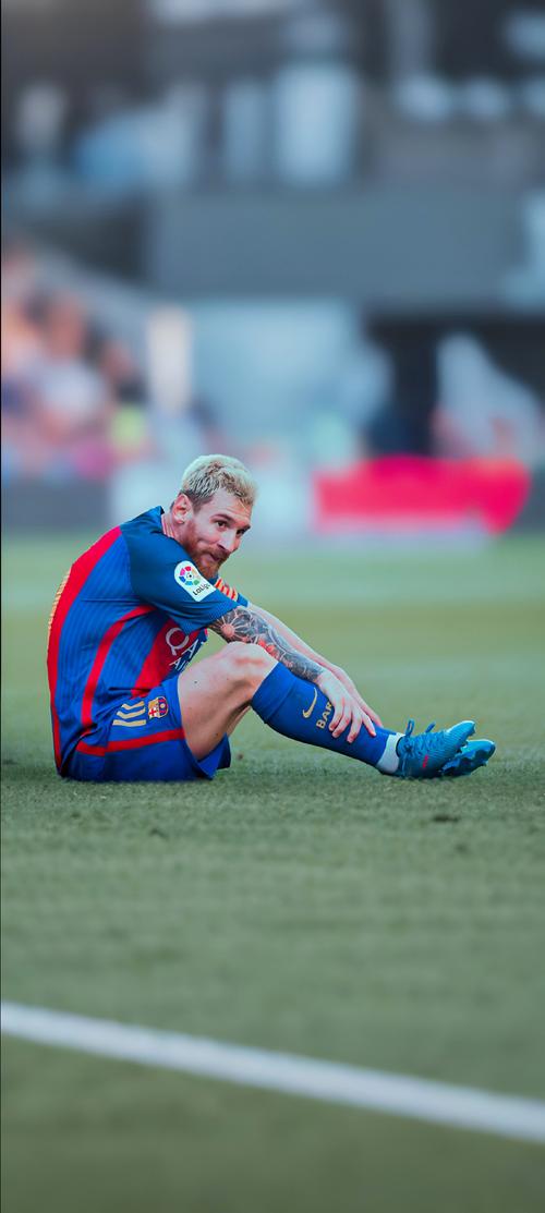 公牛三巨头合体表现亮眼